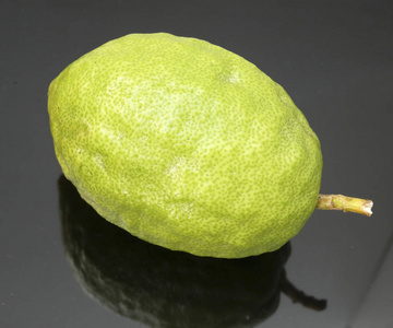 Etrog 是住棚节节日的主要标志之一, 它是柑橘家族柚子果的犹太名字。