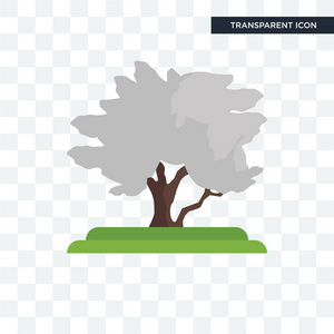 山楂图标在透明背景下分离的山楂树矢量图标, ha照片