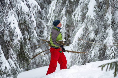 冒险家用柴在他的手是走在覆盖着积雪的巨大松树。愉快的人在冬天旅行期间