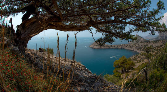 自然海风景克里米亚 (新世界, noviy svet, 黑海), 水平全景相片照片