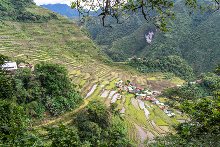 美丽的风景在巴拿墟米露台, 菲律宾