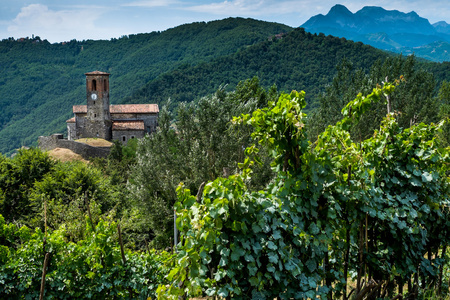 Ceserana 和中世纪堡垒，Garfagnana，托斯卡纳，意大利