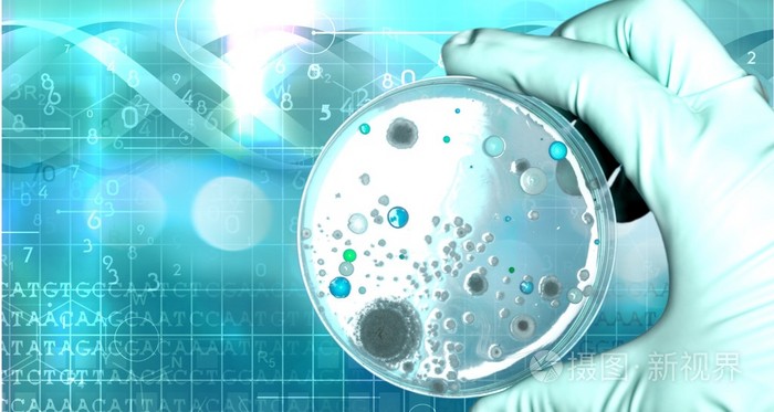 在科学家手中微生物学实验室测试
