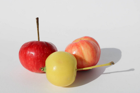 红色和黄色的苹果, 小, 在白色背景下被隔绝