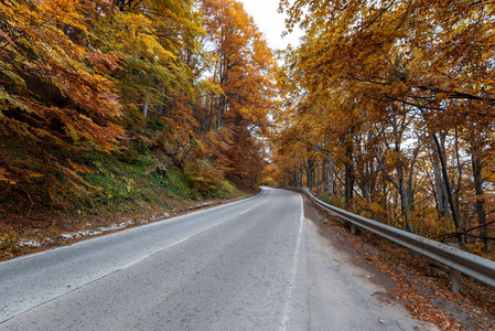 秋天的道路。美丽明亮的秋天道路景观。红色的树上的叶子