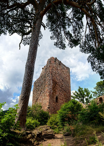 老的中世纪要塞遗址的城堡 Landsberg 深林