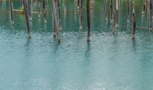 蓝色池塘，北海道，日本