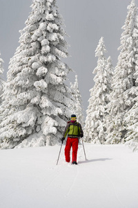 戴着护目镜的冒险家正在穿雪鞋的大松树中漫步。史诗般的冬季旅行在山上
