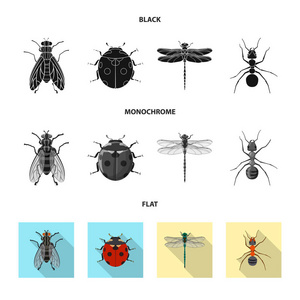 昆虫和苍蝇图标的矢量例证。昆虫和元素存量矢量图的采集