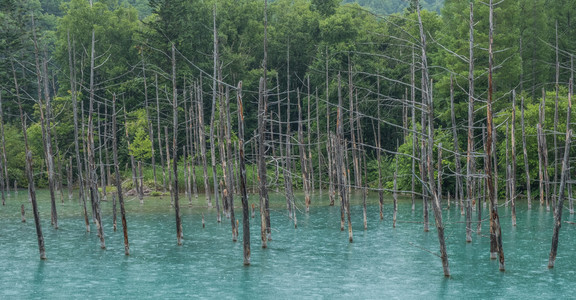 蓝色池塘，北海道，日本