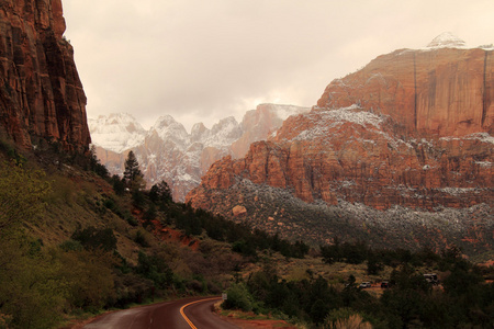 美丽的 Zion 景观