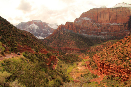 美丽的 Zion 景观