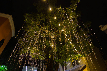 装饰性户外串灯挂在树上的花园在夜间时间装饰圣诞灯新年快乐