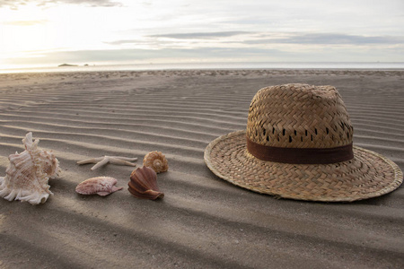 贝壳和一顶在沙滩上的帽子。暑期理念