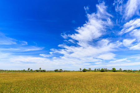 稻场和美丽的天空，在农村的泰国