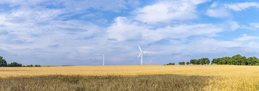 乡村景观的风力发电机