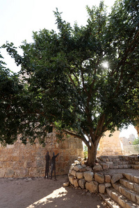 Yehiam 的古堡垒是在以色列北部由十字军在上世纪建造的。
