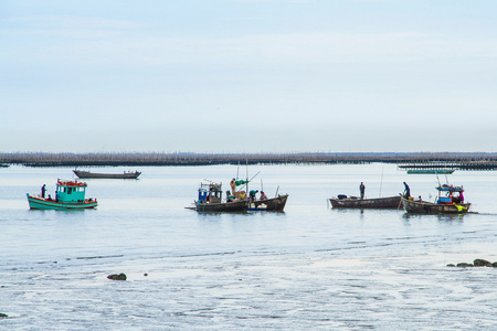 渔民们回到岸边，从早上钓鱼