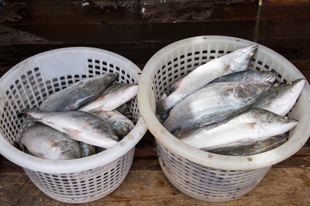 海水鱼的新鲜市场在渡轮的 Angsila，Choburi，泰国