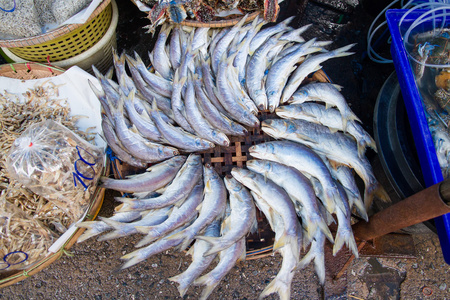 海水鱼的新鲜市场在渡轮的 Angsila，Choburi，泰国