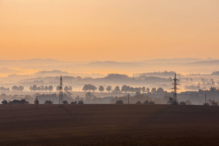 捷克共和国日出时, 雾中有一棵树的剪影