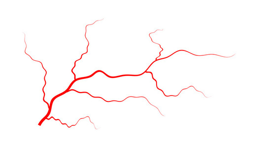 血管矢量图片-血管矢量素材-血管矢量插画-摄图新视界