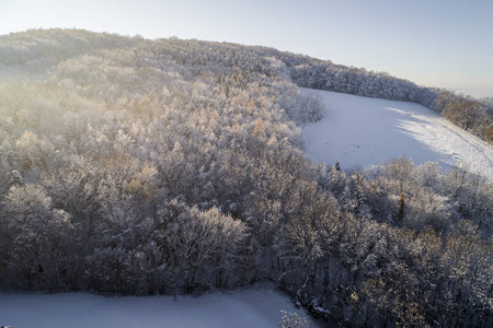 阳光明媚的冬日白雪覆盖森林的鸟瞰图