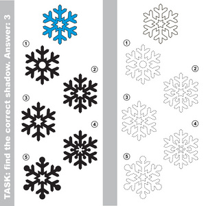 雪花。 找到真正正确的影子。