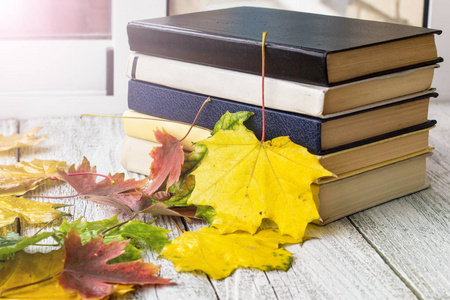 老书在秋天叶子在木背景, 色调照片