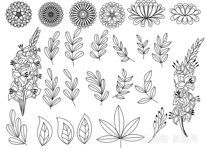 一套大纲秋天的叶子和花插画-正版商用图片0sh2u2-摄图新视界