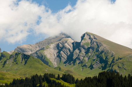 Bernese 阿尔卑斯山脉瑞士