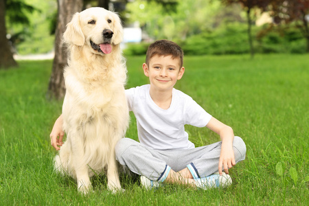小男孩和金毛狗在公园的草地上小男孩和小狗一起玩可爱的小男孩和三