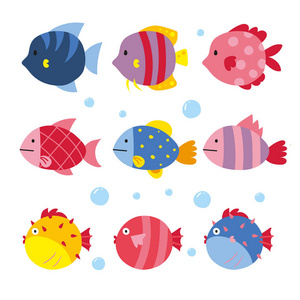 鱼媒采集设计动物载体采集设计