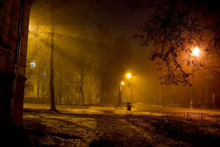 昏暗的雾照亮了夜晚的城市街道图片