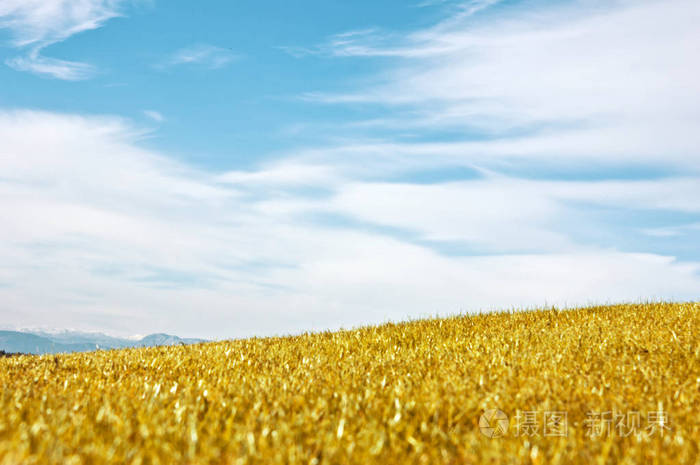 秋天的风景.黄色田野草地和蓝天