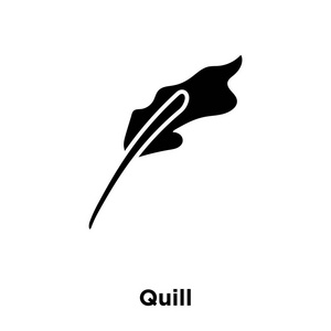 羽毛形图标矢量被隔离在白色背景, 标志概念的羽毛符号在透明背景, 充满黑色符号