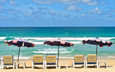 沙滩上的伞