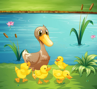 一只母鸭和她的小鸭在河里