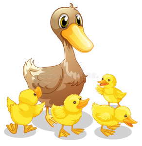 棕色鸭子和她的四只黄色小鸭