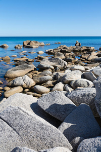 岩石海岸的夏季景观。