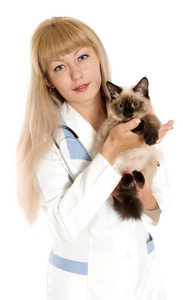 兽医和小猫