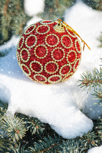 冬日树上的红色圣诞球