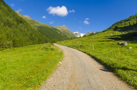 公路上高寒草甸景观的高山上，夏日晴朗，阳光明媚。