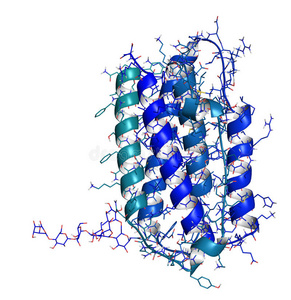 干扰素凝胶干扰素β分子,化学结构.细胞因子用于照片