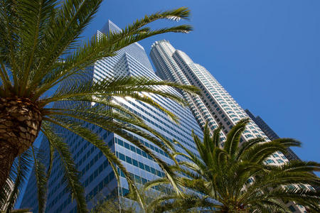 洛杉矶市中心天际线加利福尼亚棕榈树