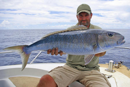 孟加拉笛鲷组蓝笛鲷照片