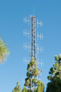 森林中的通讯塔