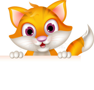 搞笑猫卡通手握空白招牌照片