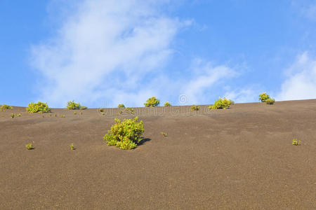 timanfaya国家公园lanzarote火山地面稀疏植被