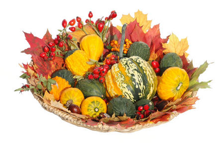 观赏南瓜与秋季装饰图片